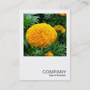 Square Photo 0240 - Orange Chrysanthemum Visitkort