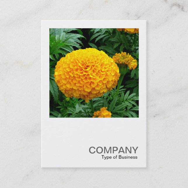 Square Photo 0240 - Orange Chrysanthemum Visitkort (Framsida)