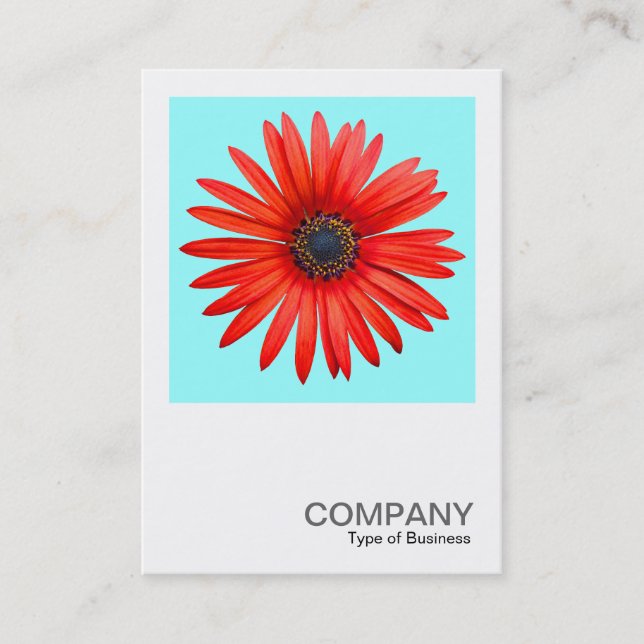 Square Photo 0344 - Red Djävulen på isblått Visitkort (Framsida)