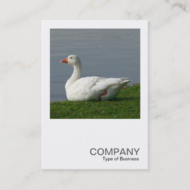 Square Photo 0350 - White Goose Visitkort (Framsida)