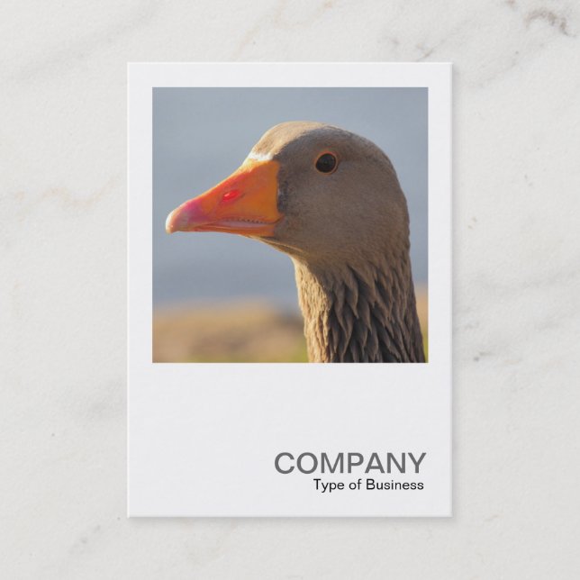 Square Photo 0393 - Inquisitive Goose Visitkort (Framsida)