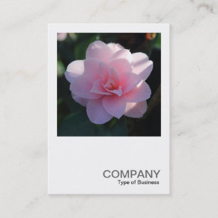 Square Photo 0394 - Rosa Camellia Visitkort