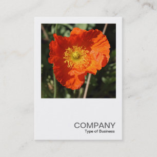 Square Photo 0405 - Welsh Poppy (Orange) Visitkort