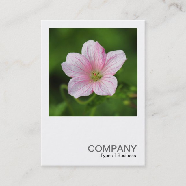 Square Photo 0419 - Geranium Visitkort (Framsida)