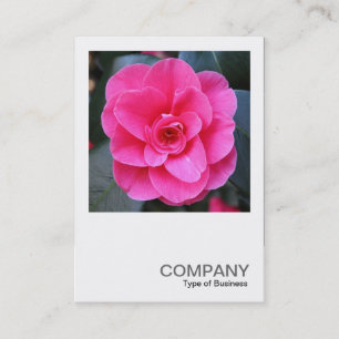 Square Photo 0429 - Rosa Camellia Visitkort