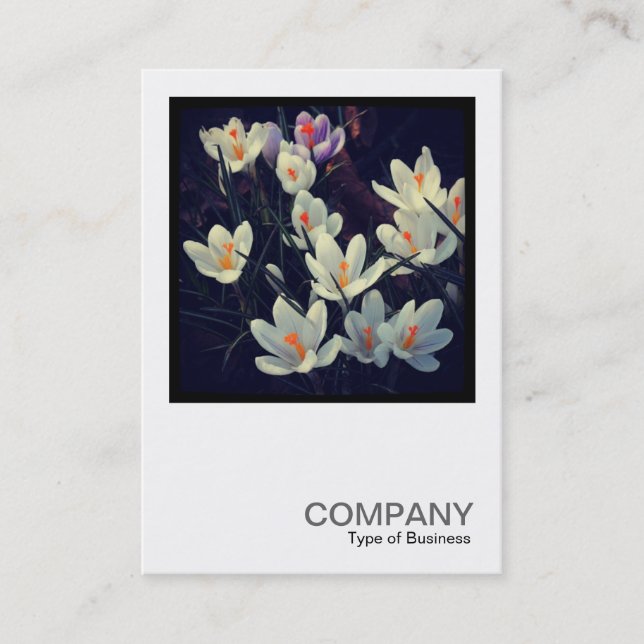 Square Photo 0432 - Crocuses Visitkort (Framsida)