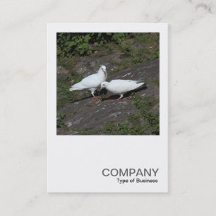 Square Photo 0451 - White Pigeons Visitkort