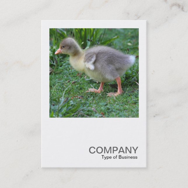 Square Photo 0473 - Gosling Visitkort (Framsida)