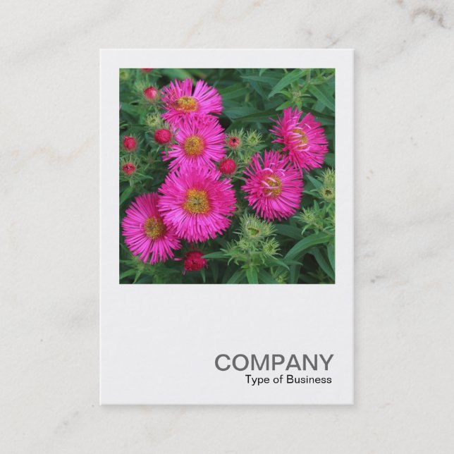 Square Photo 0492 - Michaelmas-Daisy Visitkort (Framsida)