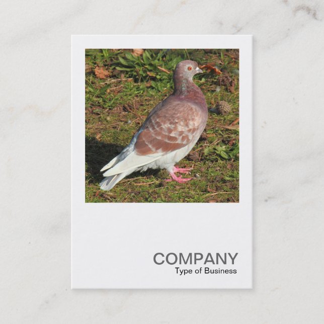 Square Photo 0551 - Pigeon Visitkort (Framsida)