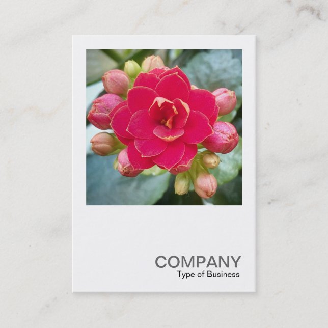 Square Photo 0595 - Kalanchoe Visitkort (Framsida)