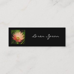 Square Photo - African Daisy Mini Visitkort