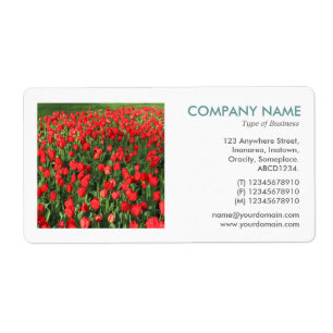 Square Photo - Bed of Red Tulips 02 Fraktsedel