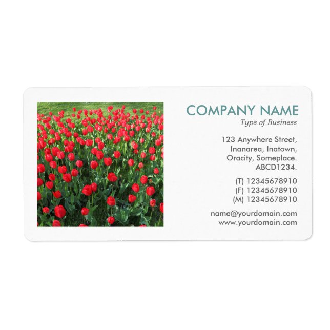 Square Photo - Bed of Red Tulips Fraktsedel (Framsidan)