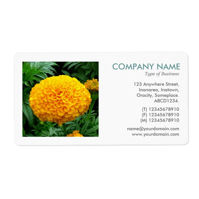 Square Photo - Chrysanthemum Fraktsedel (Framsidan)