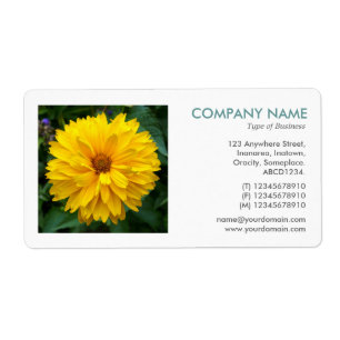 Square Photo - Chrysanthemum Fraktsedel