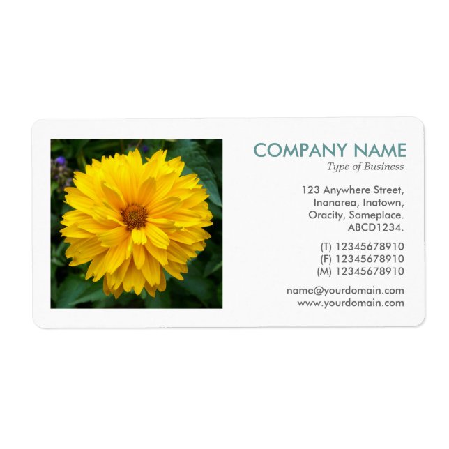 Square Photo - Chrysanthemum Fraktsedel (Framsidan)