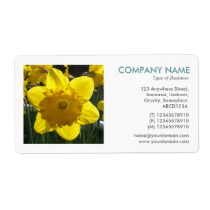 Square Photo - Daffodil Fraktsedel