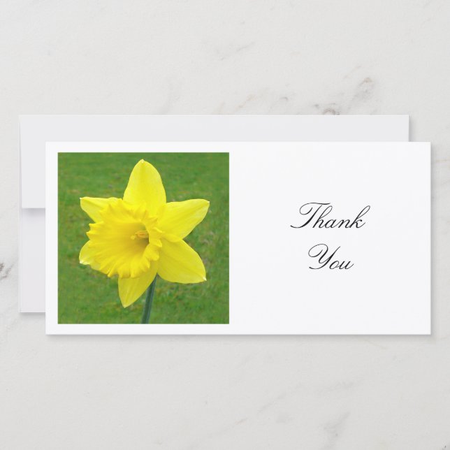 Square Photo - Daffodil Tack Kort (Framsida)
