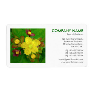 Square Photo - Hypericum perforatum Fraktsedel