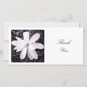Square Photo - Magnolia Tack Kort
