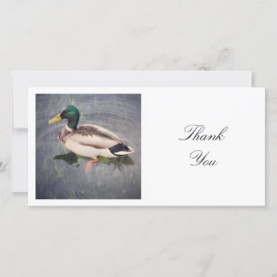 Square Photo - Mallard Anka Tack Kort