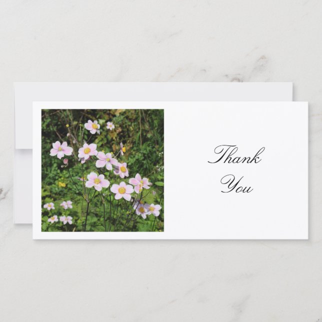 Square Photo - Mallow Flowers Tack Kort (Framsida)