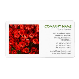 Square Photo - Red Tulips Fraktsedel