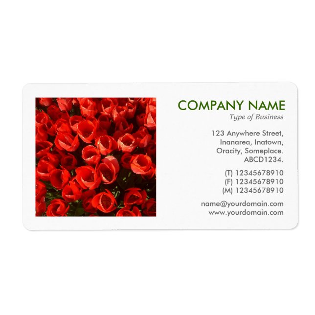 Square Photo - Red Tulips Fraktsedel (Framsidan)