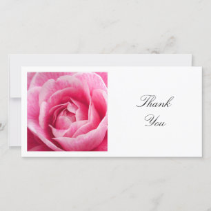 Square Photo - Rosa Camellia Tack Kort