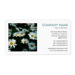 Square Photo - Shasta-Daisy Fraktsedel