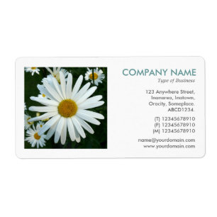 Square Photo - Shasta Daisy Fraktsedel