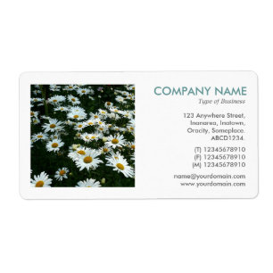 Square Photo - Shasta Daisys II Fraktsedel