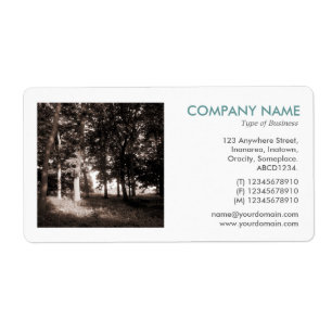Square Photo - Skogen i parken Fraktsedel