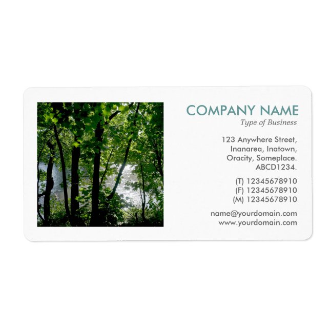 Square Photo - Tress by a River Fraktsedel (Framsidan)