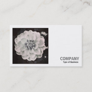 Square Photo (v2) - Chrysanthemum Visitkort