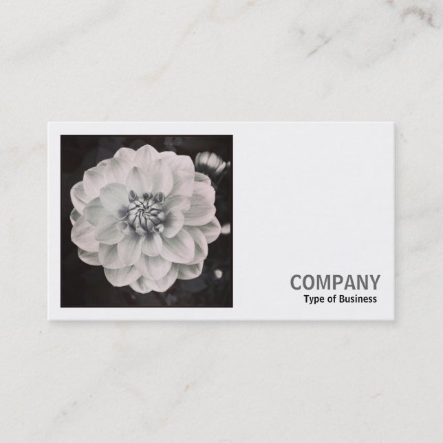 Square Photo (v2) - Chrysanthemum Visitkort (Framsida)