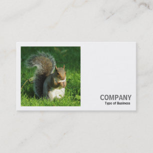 Square Photo (v2) - Grått Squirrel Eating Nöt Visitkort
