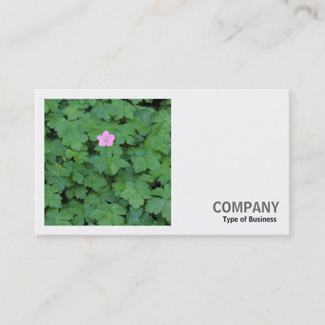 Square Photo (v2) - Lone Geranium Visitkort (Framsida)