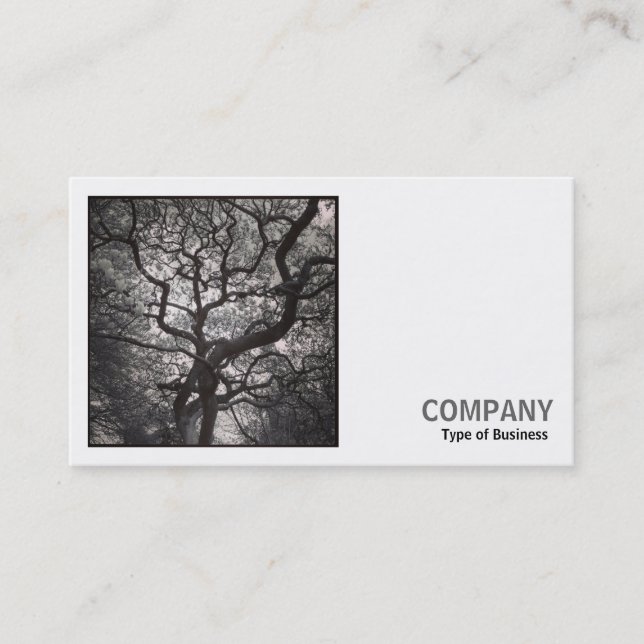 Square Photo (v2) - Magnolia Träd i Blommar 03 Visitkort (Framsida)