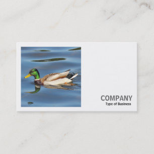 Square Photo (v2) - Mallard Anka Visitkort