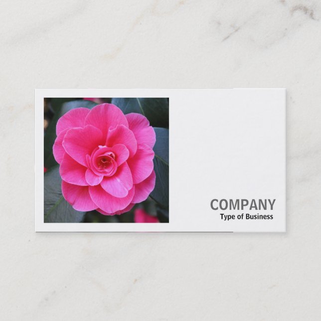 Square Photo (v2) - Rosa Camellia Visitkort (Framsida)