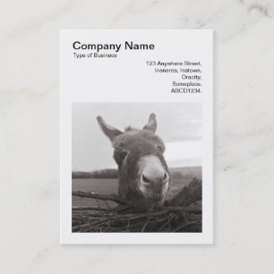 Square Photo (v3) - Friendly Donkey Visitkort