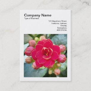 Square Photo (v3) - Kalanchoe Visitkort