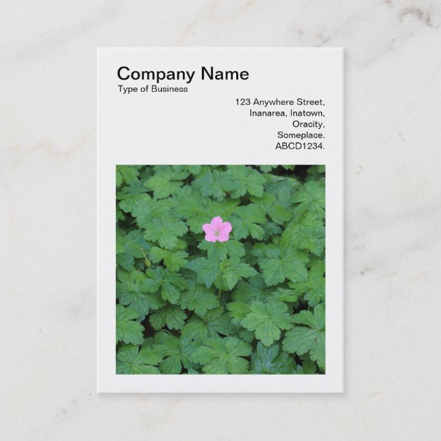Square Photo (v3) - Lone Geranium Visitkort (Framsida)