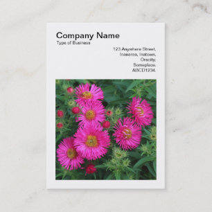 Square Photo (v3) - Michaelmas Daisys 01 Visitkort