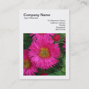Square Photo (v3) - Michaelmas Daisys 03 Visitkort