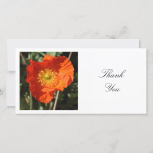 Square Photo - Welsh Poppy Tack Kort
