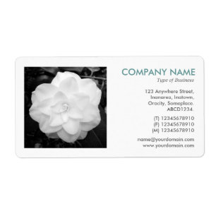 Square Photo - White Camelia Fraktsedel