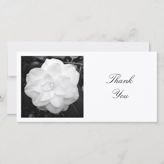 Square Photo - White Camellia Tack Kort (Framsida)